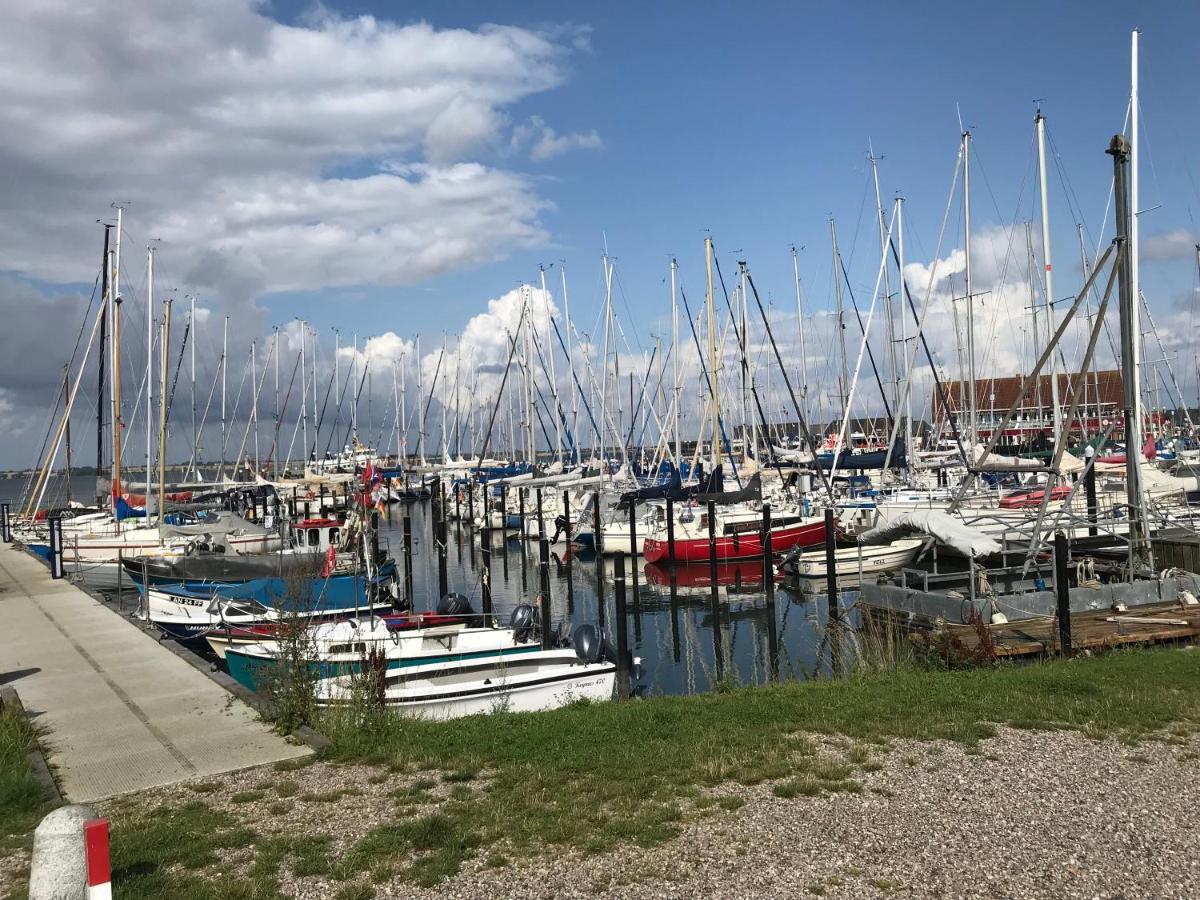 Ferienwohnung Kuschelmuschel Flensburg - ฮันเดอวิทท์ ภายนอก รูปภาพ